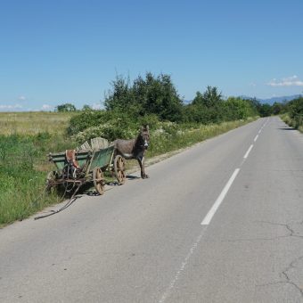 32E50754-8E73-432C-9123-283CD7A8A95A