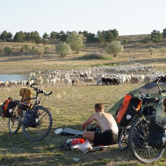 CAB01B1C-0B77-47CB-8304-55D4BF2E24EF