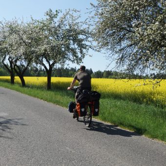 FA31C8DA-137B-453F-8182-D970C319EE6B